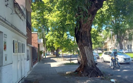 Av. Francia casi esq. Brown