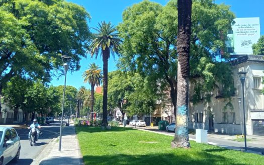 Av. Francia casi esq. Brown