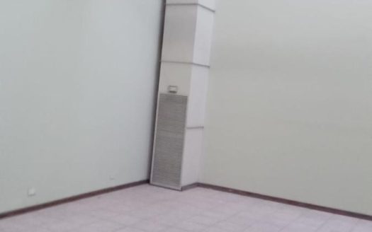 Pueyrredón 985